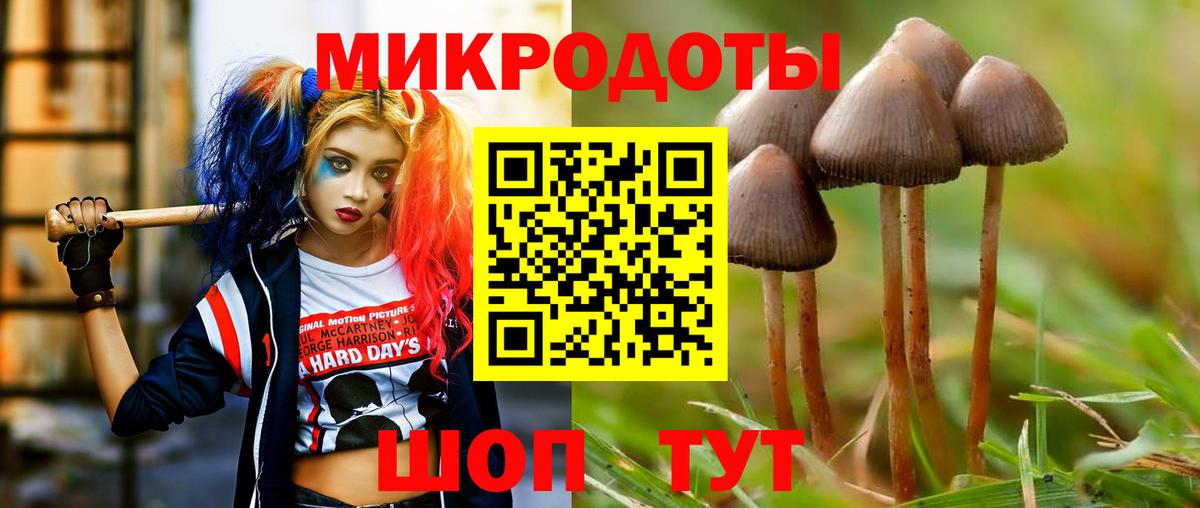 Калач-на-Дону  где продают наркотики  Вход с VPN  Галлюциногенные грибы GOLDEN TEACHER 