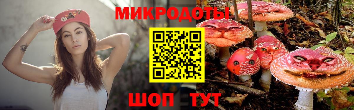 Псилоцибиновые грибы Psilocybine cubensis Калач-на-Дону